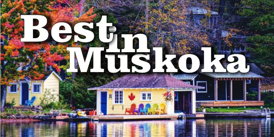 Best Dispensaries Muskoka