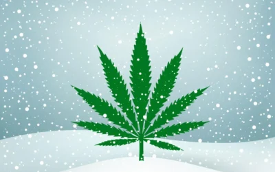 Beat the Winter Blues with Cannabis:  Strains for Stress and Mood Boosting