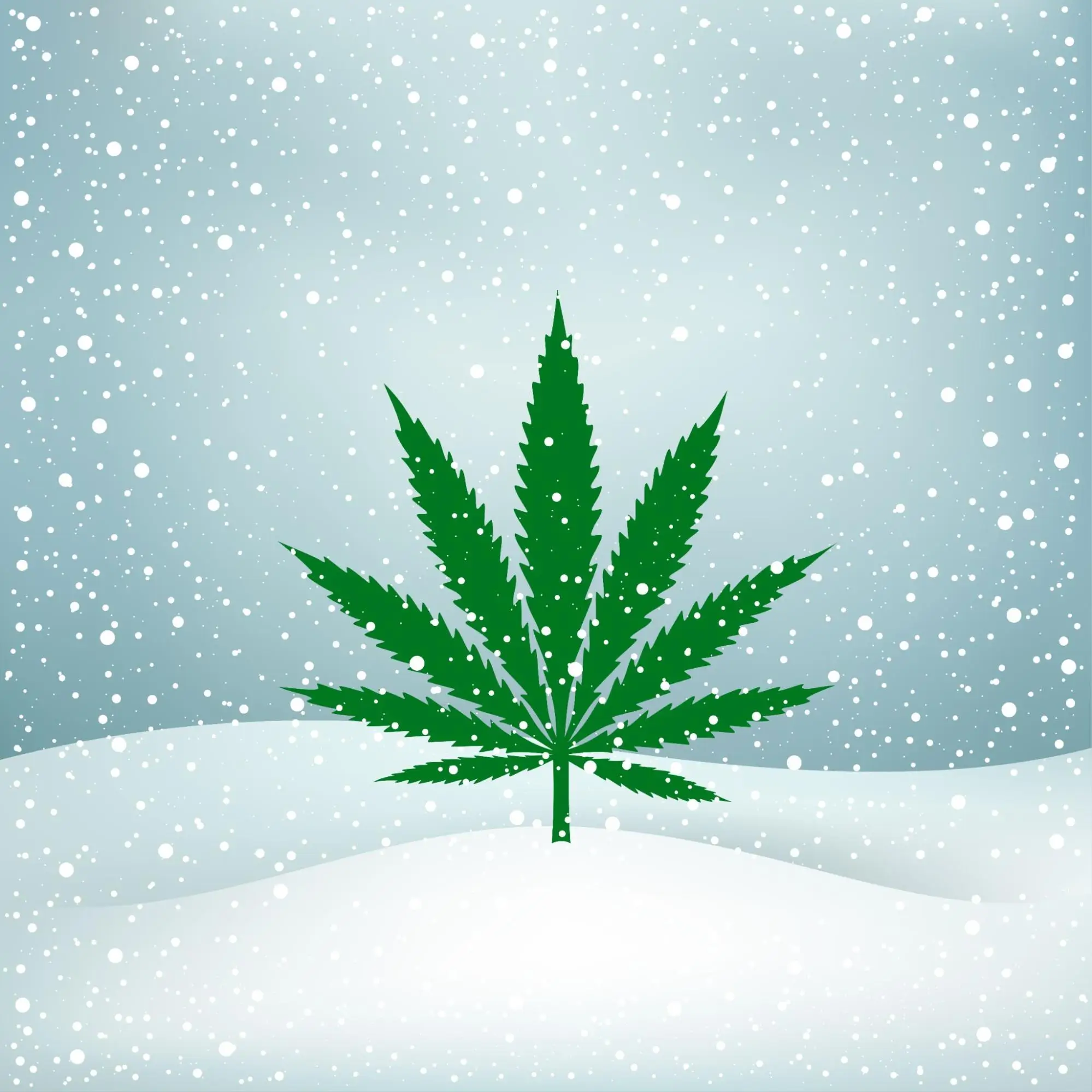 Beat the Winter Blues with Cannabis: Strains for Stress and Mood Boosting