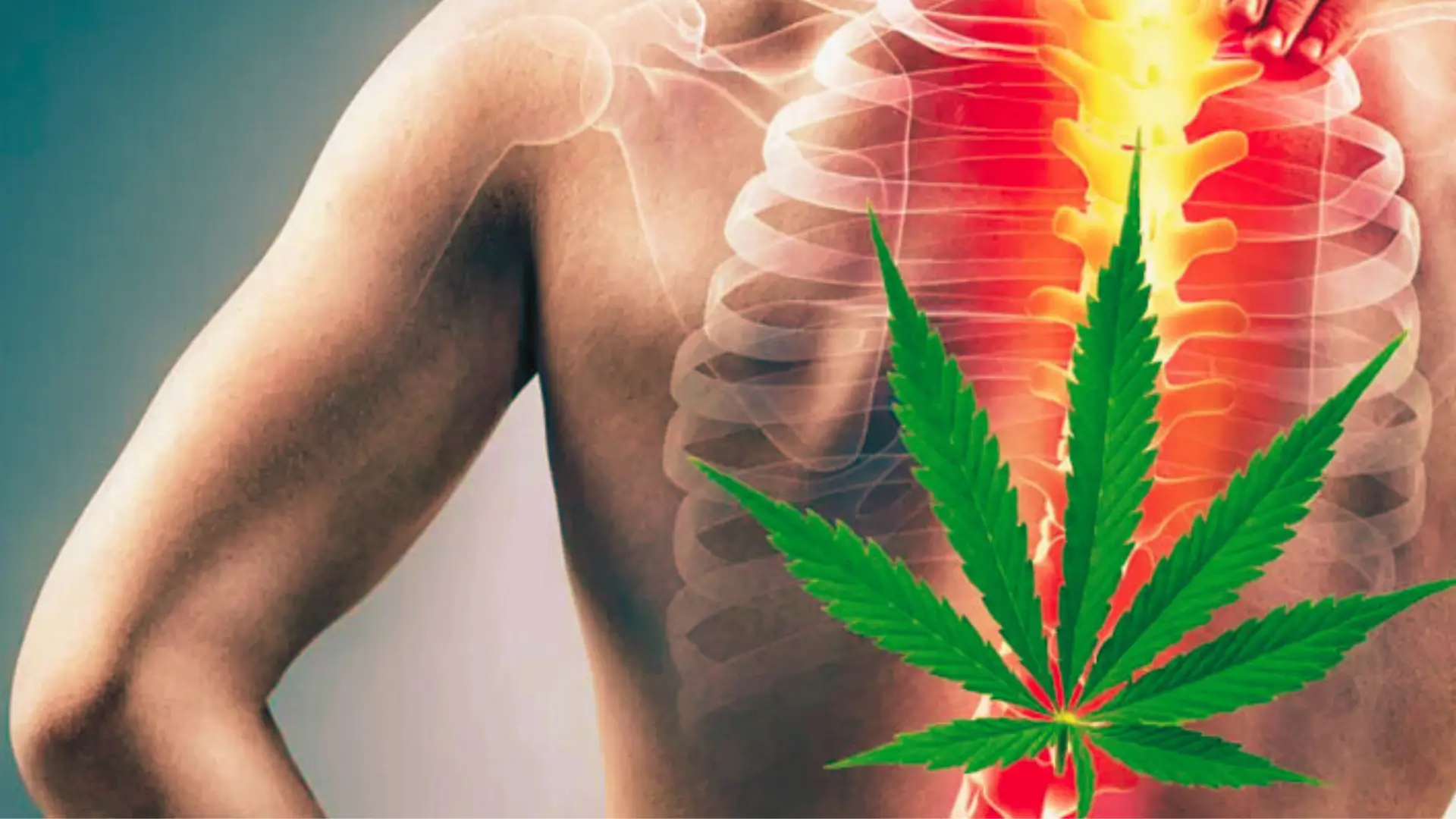 Cannabis For Pain Management: What You Should Know