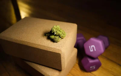 Can Cannabis Enhance Your Workout And Your Fitness Recovery?