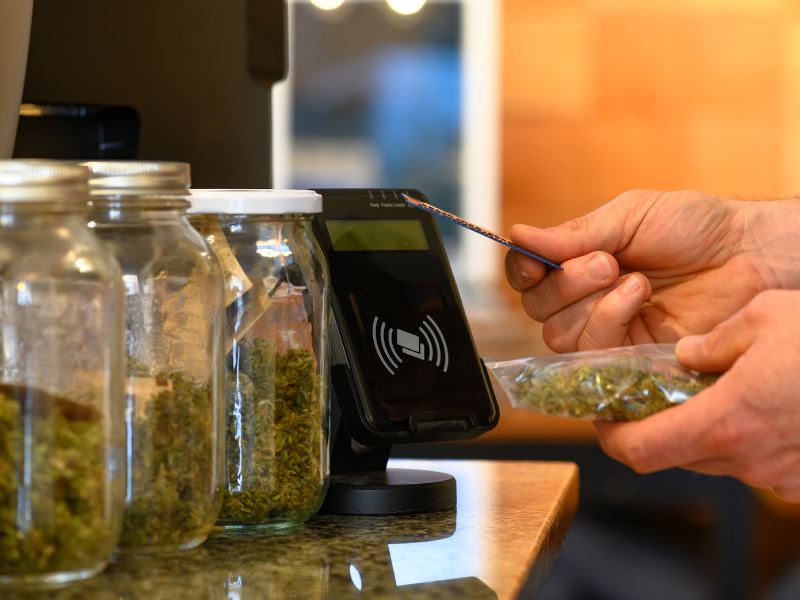 How to Buy Cannabis in Canada Why Are People Using Cannabis for Wellness?
