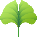 Fresh Mint Leaves