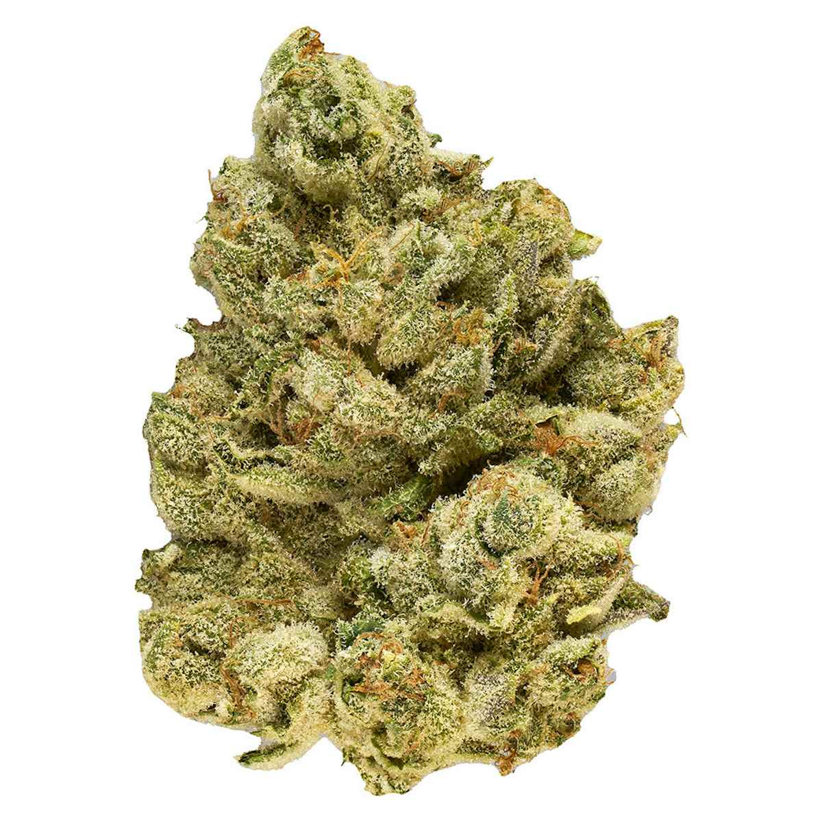 Broken Coast Broken Coast